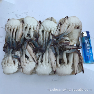 Zhoushan Crab Blue berenang beku